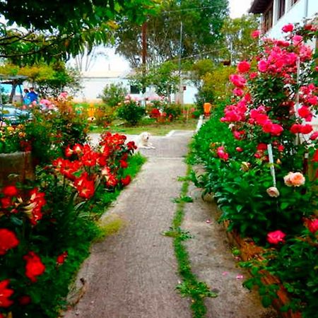 Eftichia Apartment Roda (Corfu) Exterior foto