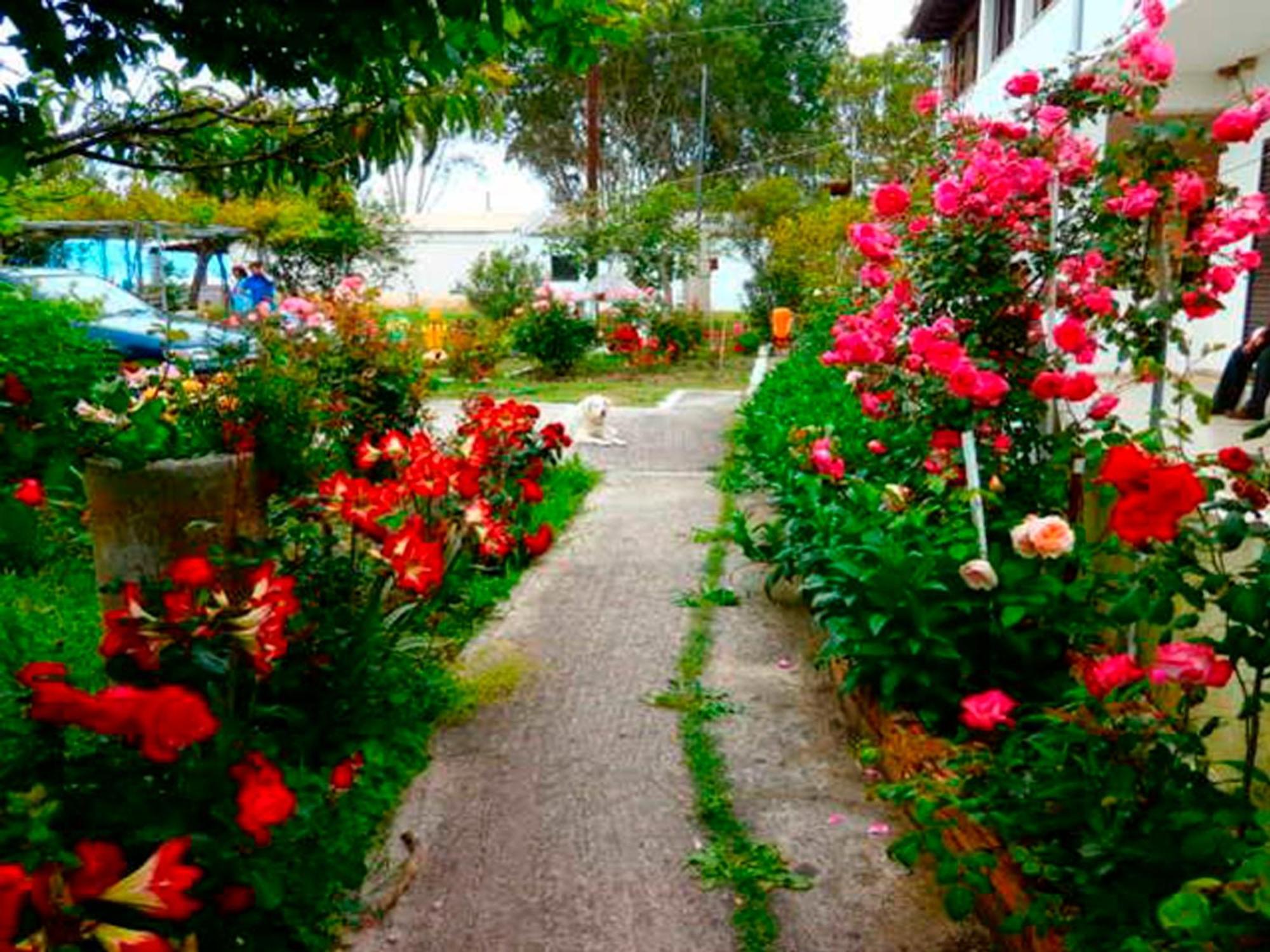 Eftichia Apartment Roda (Corfu) Exterior foto