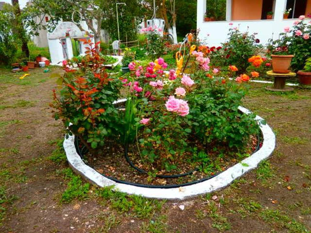 Eftichia Apartment Roda (Corfu) Exterior foto